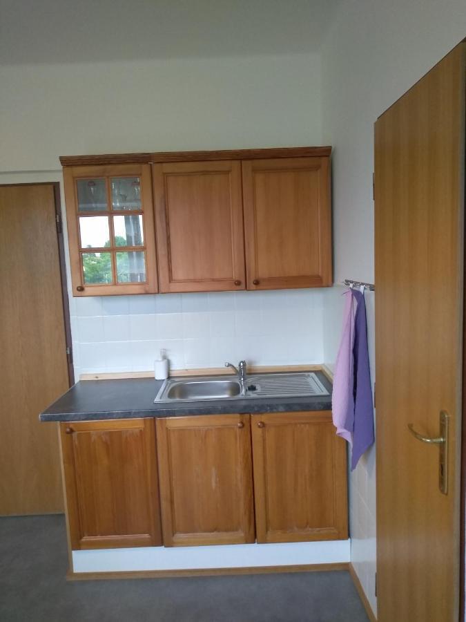 Appartement Hrncirna à Kněževes Extérieur photo
